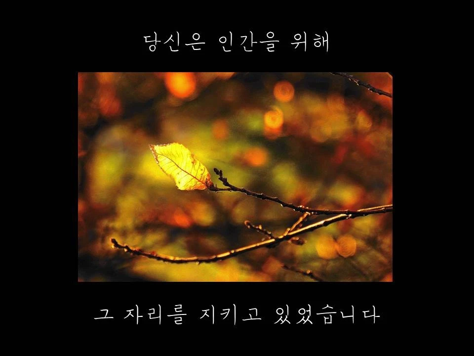 %EC%8A%AC%EB%9D%BC%EC%9D%B4%EB%93%9C22.JPG?type=w1600