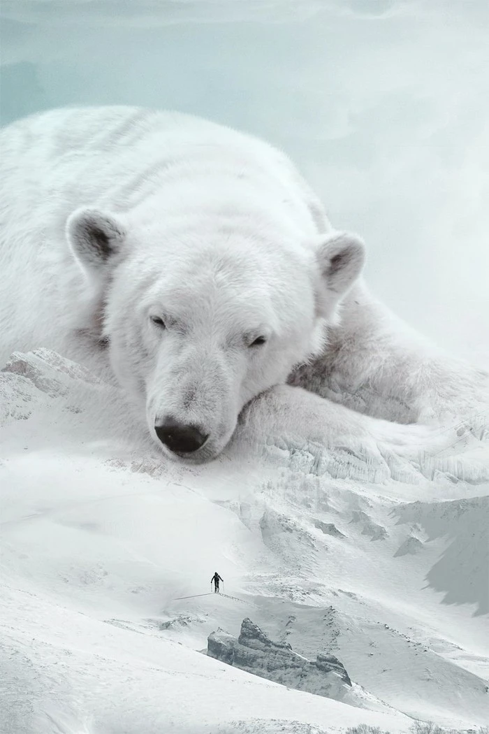 art-mirekis-03-805x1208.jpg?type=w1600