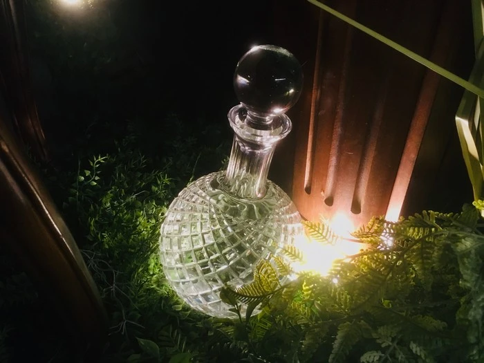 IMG_7319.jpg?type=w1600