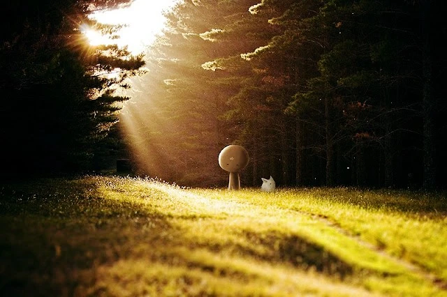 _mg_1879-edit-stas_kulesh_%281%29.jpg?type=w1600