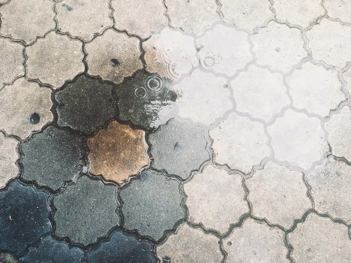 IMG_7110.jpg?type=w1600