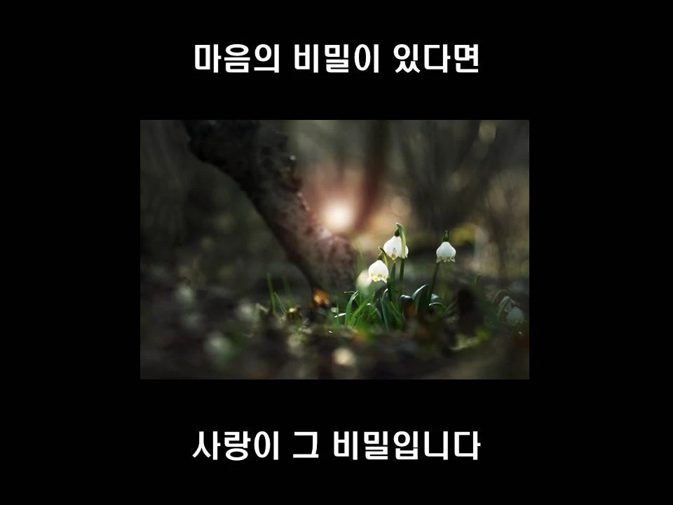 %EC%8A%AC%EB%9D%BC%EC%9D%B4%EB%93%9C13.JPG?type=w1600