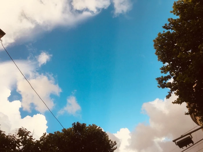 IMG_9383.jpg?type=w1600