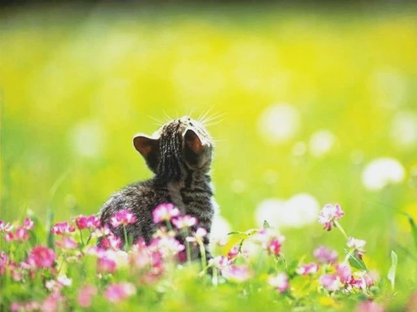 wp5931105.jpg?type=w1600