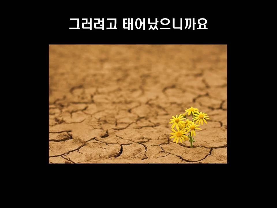 %EC%8A%AC%EB%9D%BC%EC%9D%B4%EB%93%9C34.JPG?type=w1600