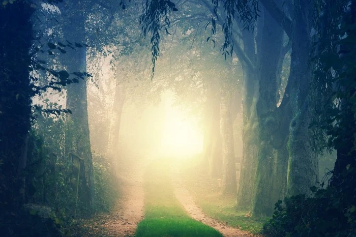 photo-1552862859-52fc27887337.jpg?type=w1600