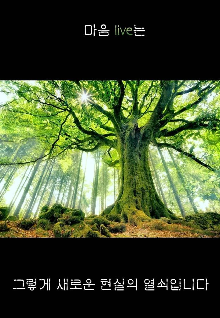 0070d.JPG?type=w1600