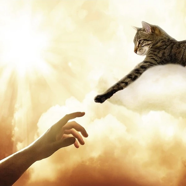 regard.jpg?type=w1600