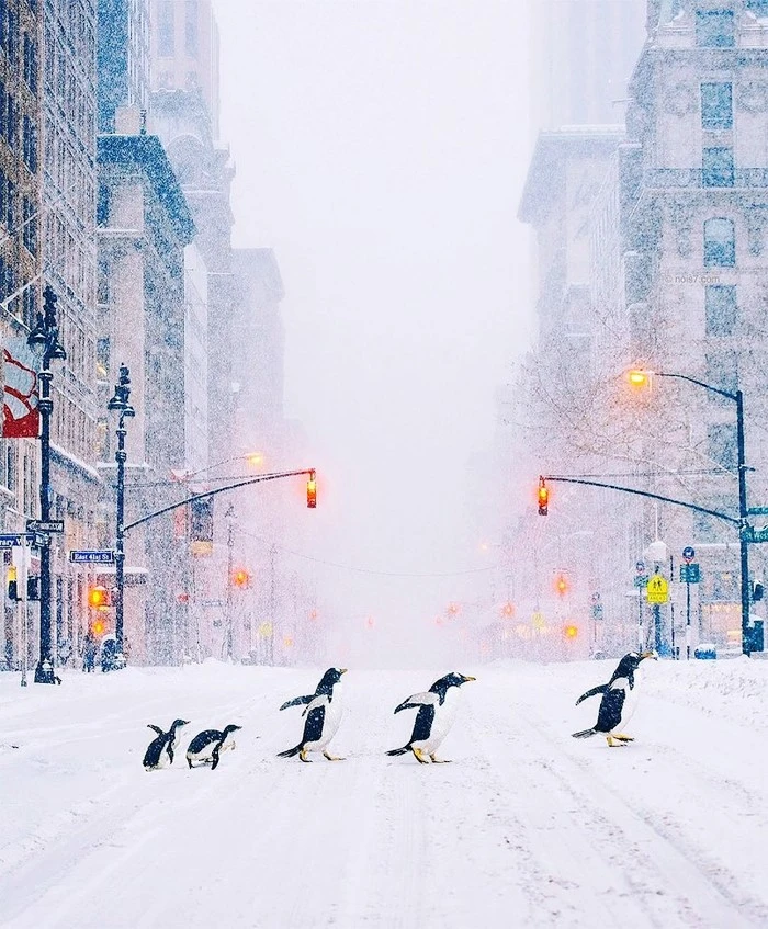 photo-robert-jahns-11-805x975.jpg?type=w1600