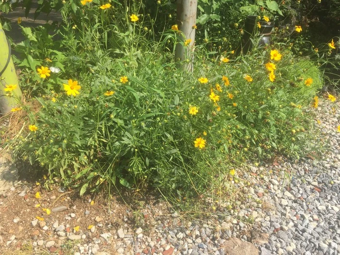 IMG_7822.JPG?type=w1600