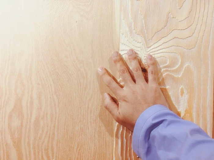 IMG_6568.jpg?type=w1600