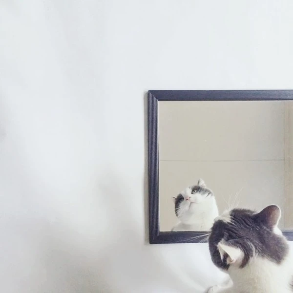 2ea3e06efc3fb3fd5664f2ade194dd8c.jpg?type=w1600