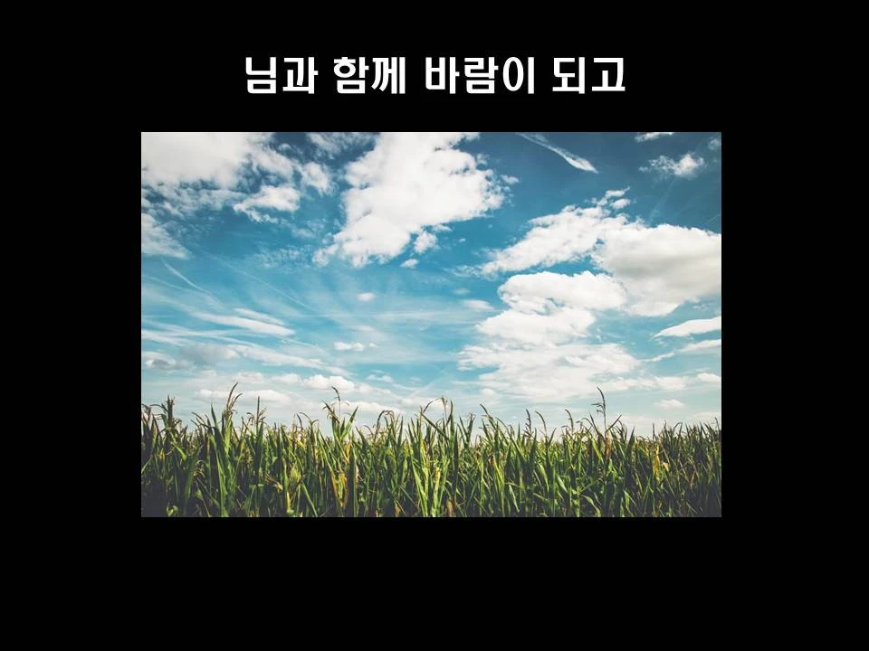 %EC%8A%AC%EB%9D%BC%EC%9D%B4%EB%93%9C3.JPG?type=w1600