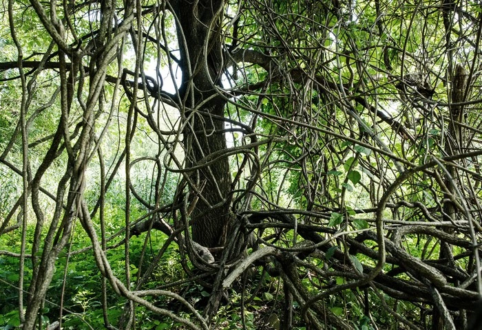 merlin_158067234_44ce4713-0bca-45ef-975e-f71c7195783b-superJumbo.jpg?type=w1600