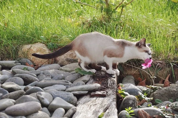 012321.jpg?type=w1600