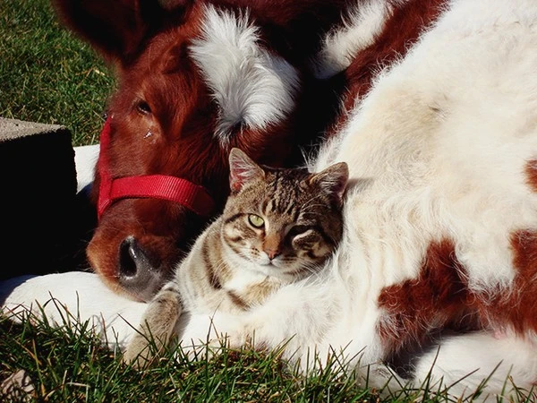 01014.jpg?type=w1600