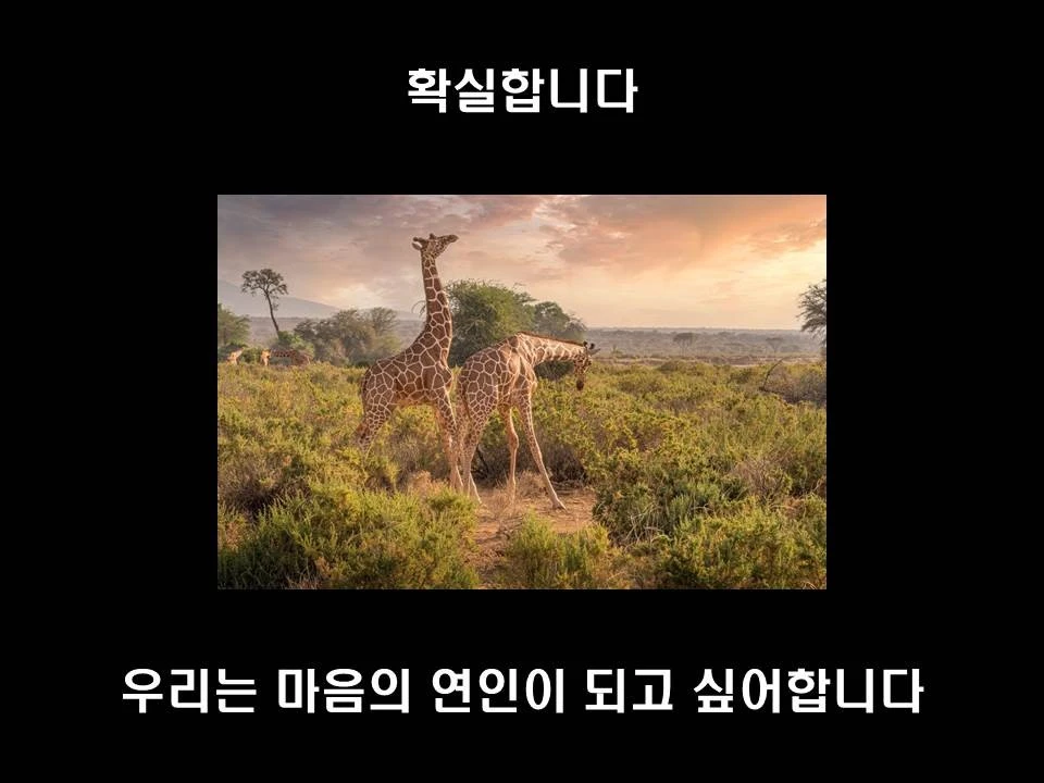 %EC%8A%AC%EB%9D%BC%EC%9D%B4%EB%93%9C17.JPG?type=w1600