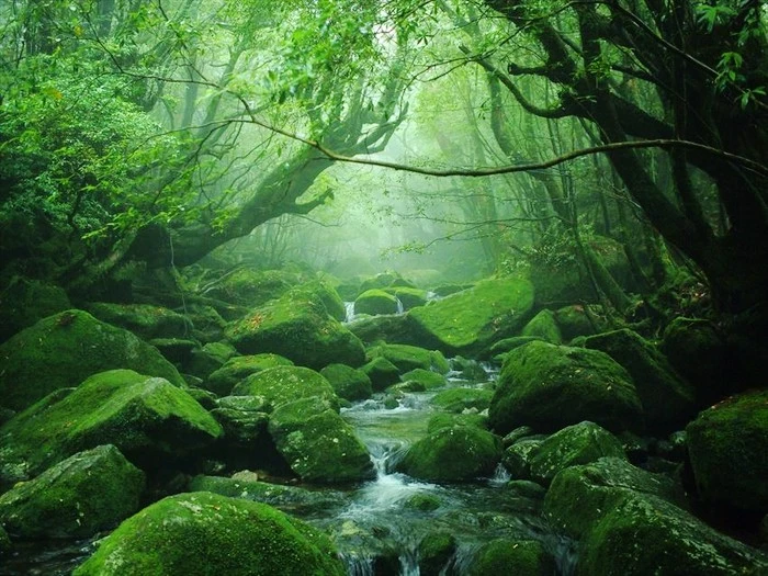 12c662c020c8143d85e0690951e5855236e5a47c.jpg?type=w1600