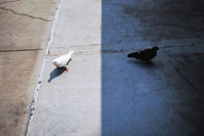 photography-eric-kogan-01-805x538.jpg?type=w1600