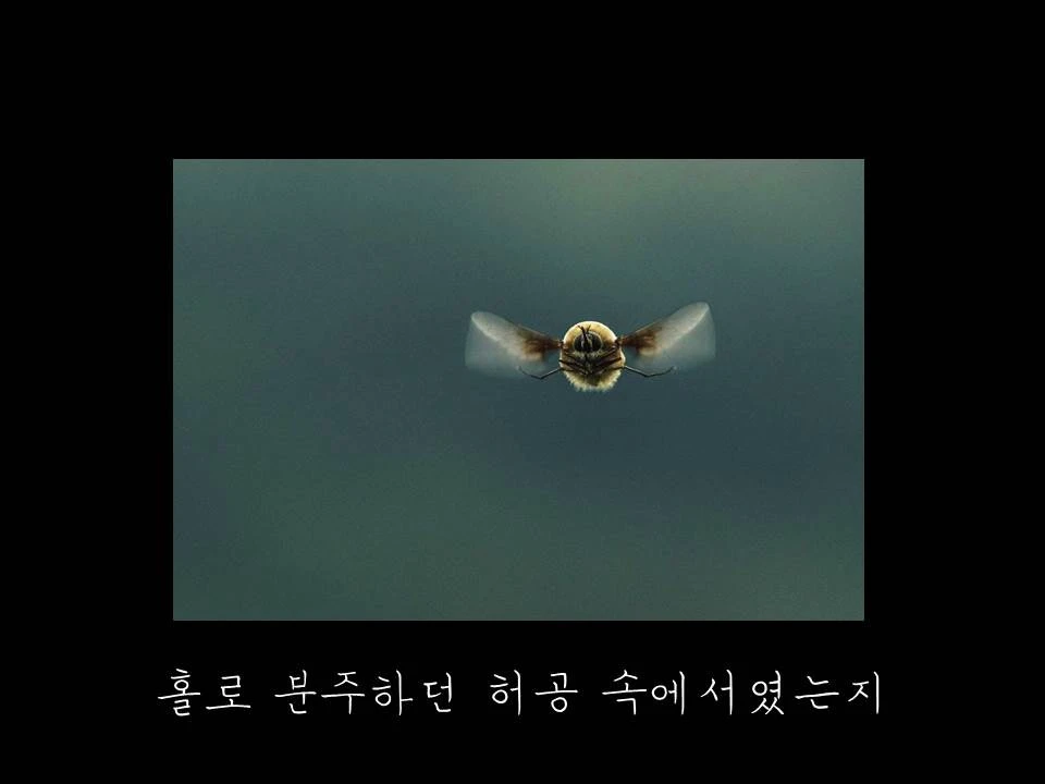 %EC%8A%AC%EB%9D%BC%EC%9D%B4%EB%93%9C5.JPG?type=w1600