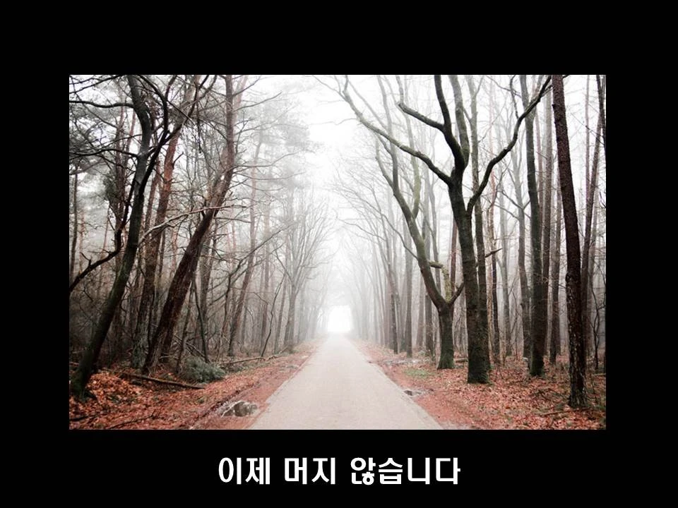 %EC%8A%AC%EB%9D%BC%EC%9D%B4%EB%93%9C13.JPG?type=w1600