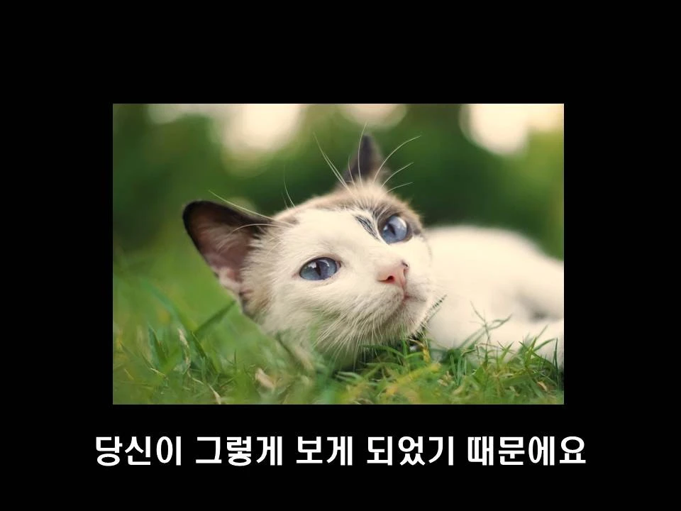 %EC%8A%AC%EB%9D%BC%EC%9D%B4%EB%93%9C43.JPG?type=w1600