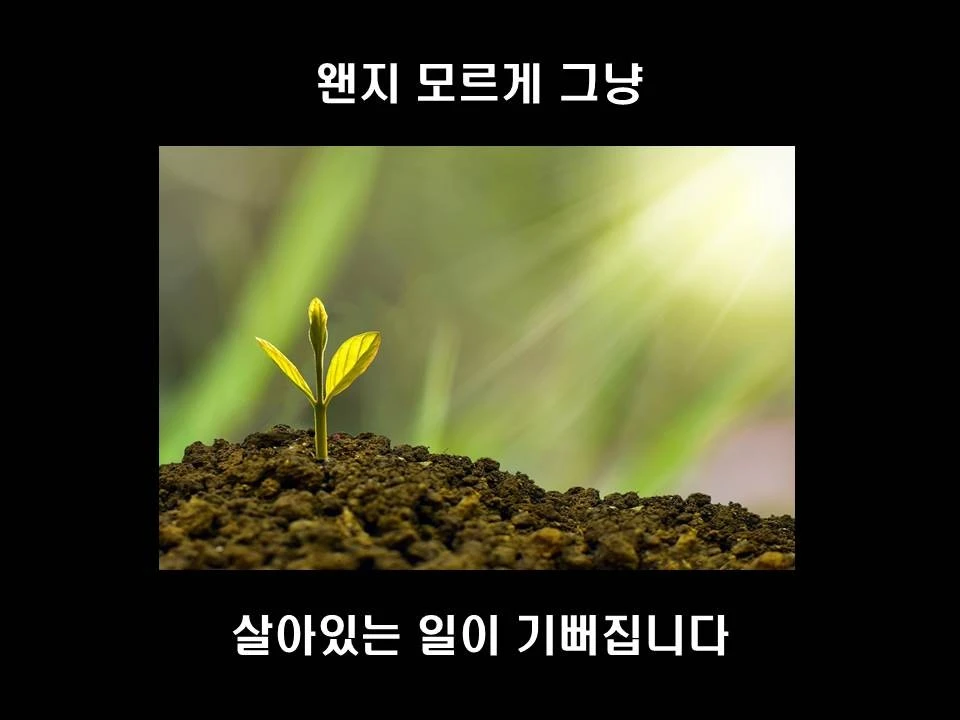 %EC%8A%AC%EB%9D%BC%EC%9D%B4%EB%93%9C41.JPG?type=w1600