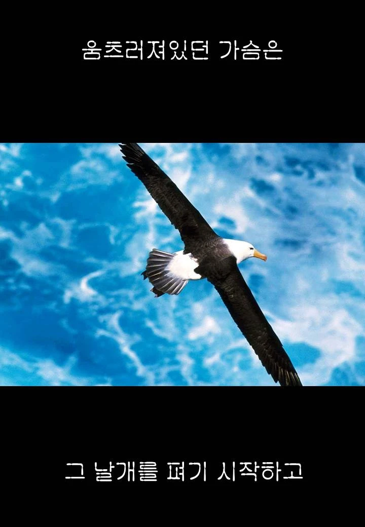 0070g.JPG?type=w1600