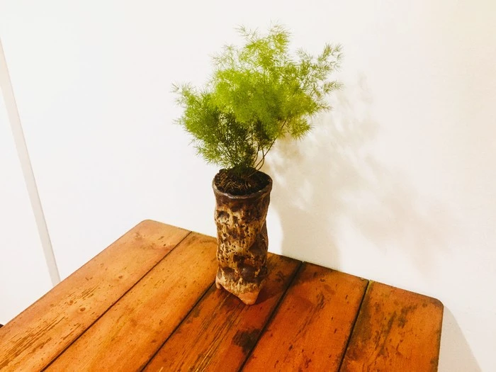 IMG_0496.jpg?type=w1600