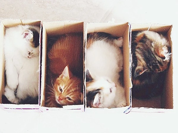 box-6.jpg?type=w1600