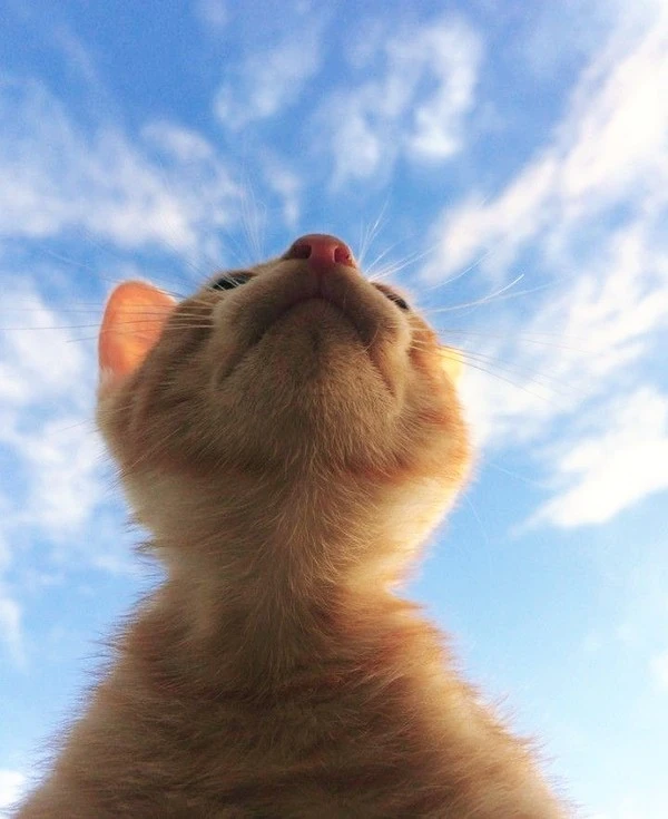 c8e1538b3fae2c6d266050207b078a0c.jpg?type=w1600