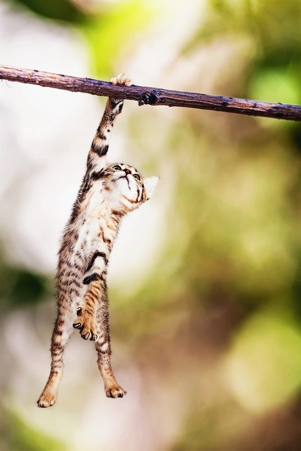 CulgSzDWIAEvcHl.jpg?type=w1600