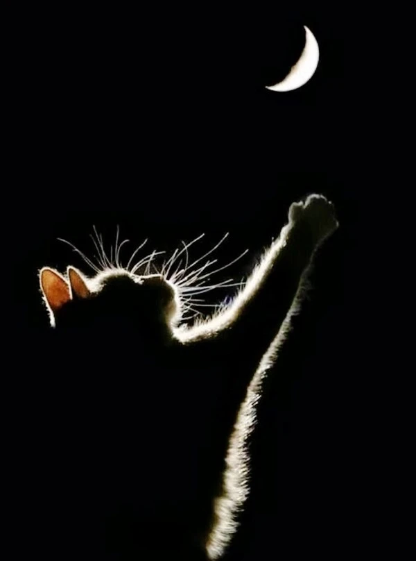 000011.jpg?type=w1600