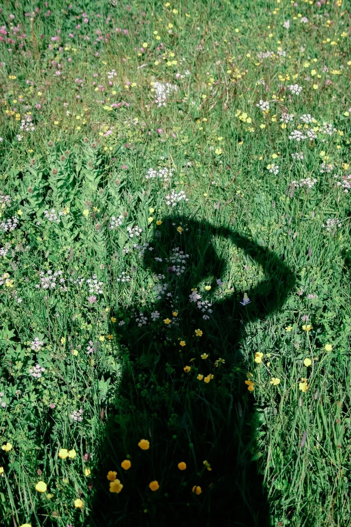 pexels-doma-13054288.jpg?type=w1600