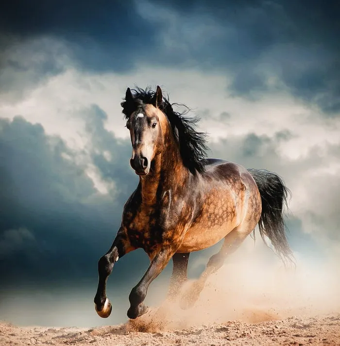 HD-wallpaper-wild-horse-r-star-art-horses-snow-strong-theme-unicorn-wall-wes.jpg?type=w1600