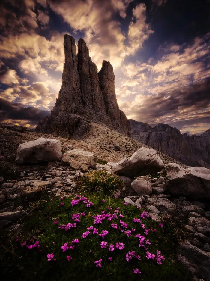 photography-isabella-tabacchi-17-805x1073.jpg?type=w1600