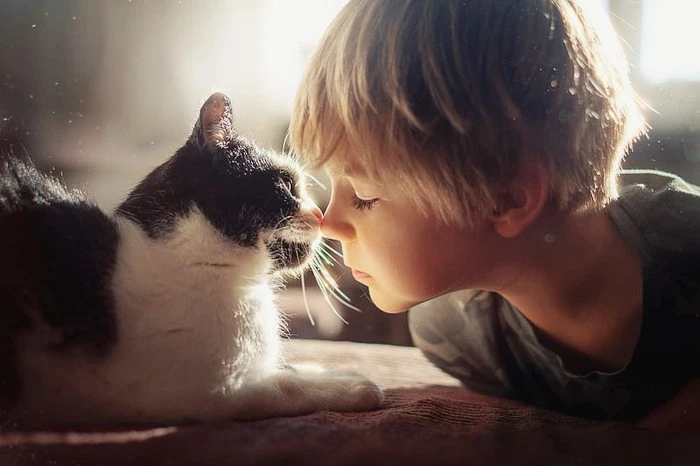 HD-wallpaper-graphy-child-boy-cat-little-boy-love-pet.jpg?type=w1600