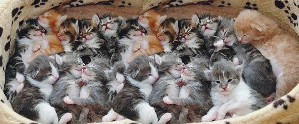 0fdf01c8c5fb0b0de3fac4d748cb2556.jpg?type=w1600