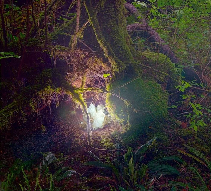 photography-todd-baxter-08-805x729.jpg?type=w1600