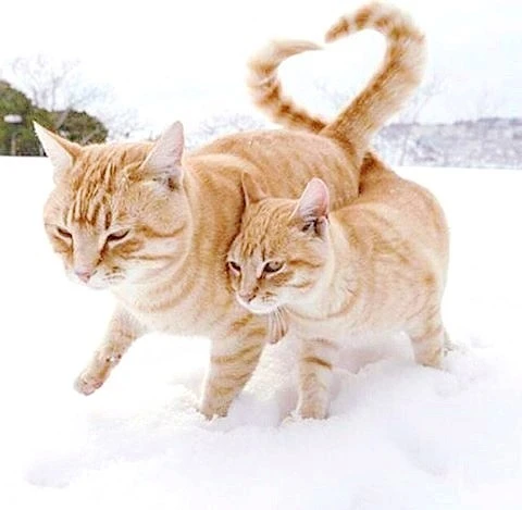 9e435ab0ee2dd92c1454ba0606149fd6.jpg?type=w740