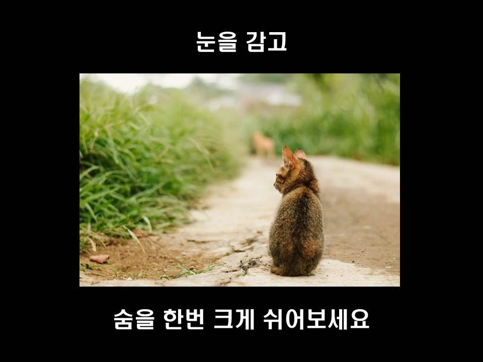 %EC%8A%AC%EB%9D%BC%EC%9D%B4%EB%93%9C24.JPG?type=w1600