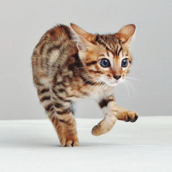 00000001.jpg?type=w1600