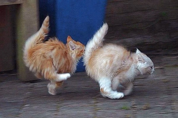 dd5af38221d0bec9b44314dcd5e79e1f.jpg?type=w1600