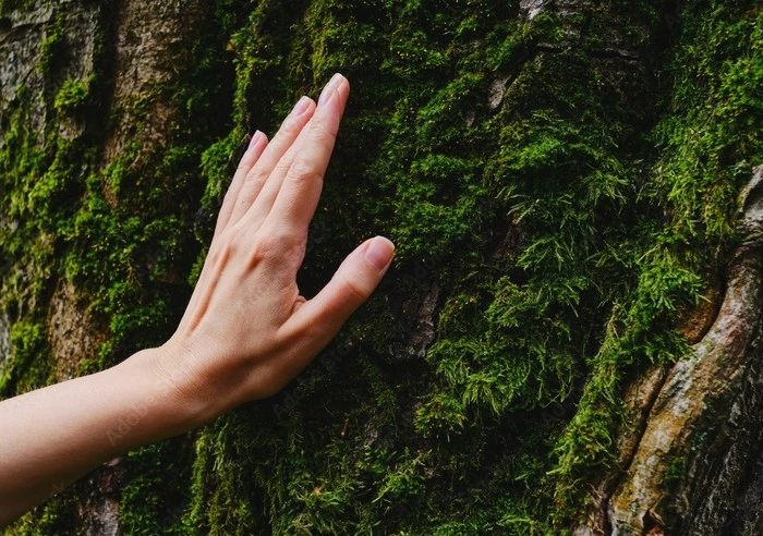 1000_F_446328938_LMdqglQBAN8t1RqmV4G0R6FXIsPGtqWu.jpg?type=w1600