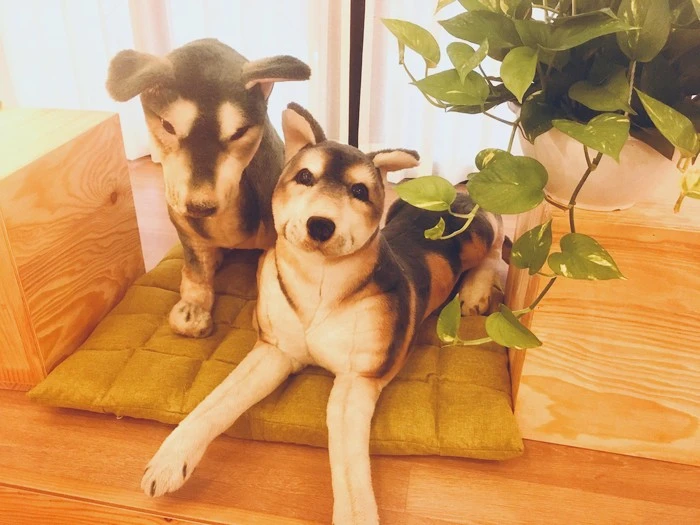 IMG_0503.jpg?type=w1600