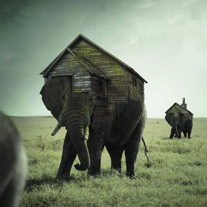 art-mirekis-18-805x805.jpg?type=w1600