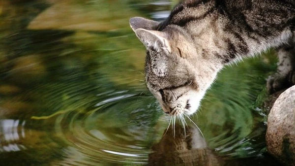 10111.jpg?type=w1600