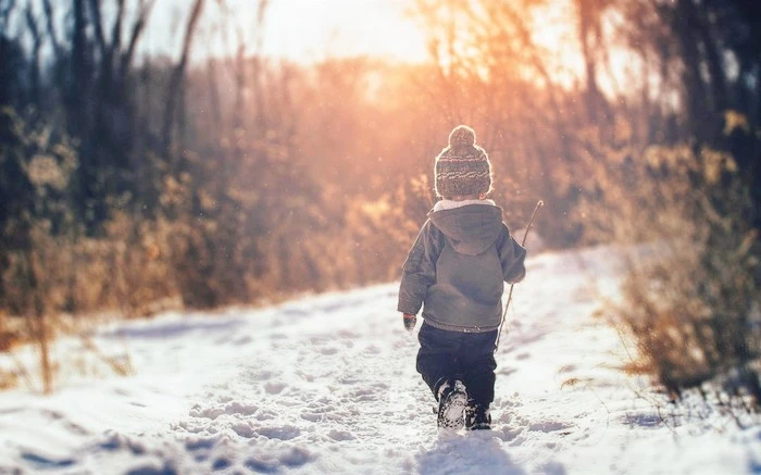 wp4894541.jpg?type=w1600