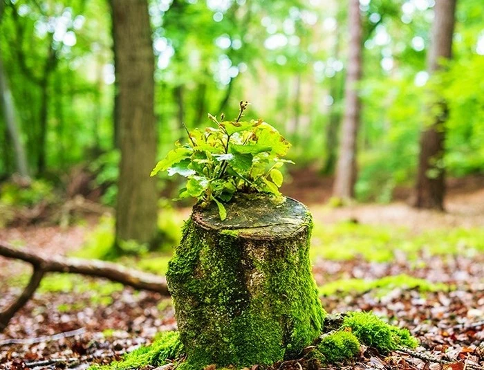 AdobeStock_485539210_SIW-web.jpg?type=w1600