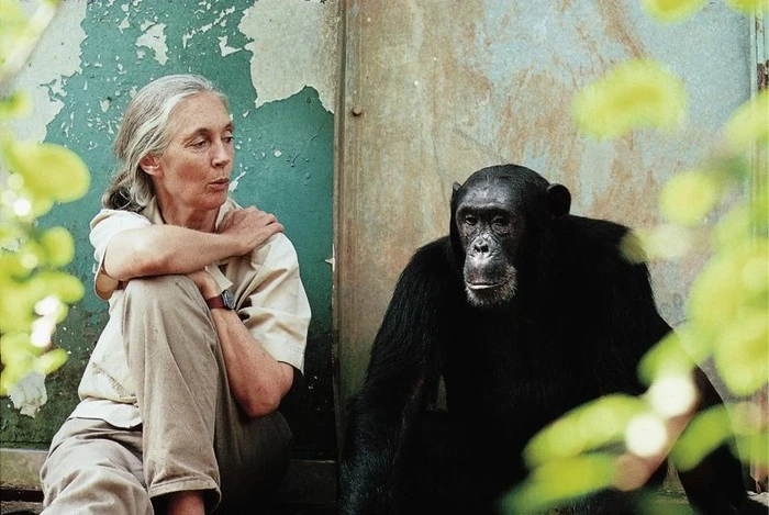 jane-goodall.jpg?type=w1600
